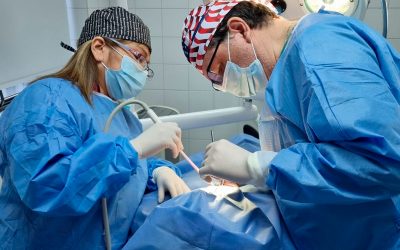 Cirugía de Implante Dental: Ambulatoria e indolora